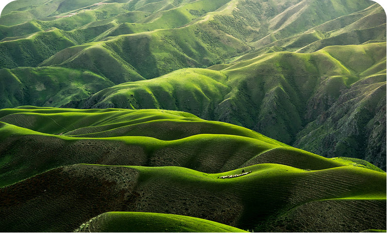 The Cost of Methane 7