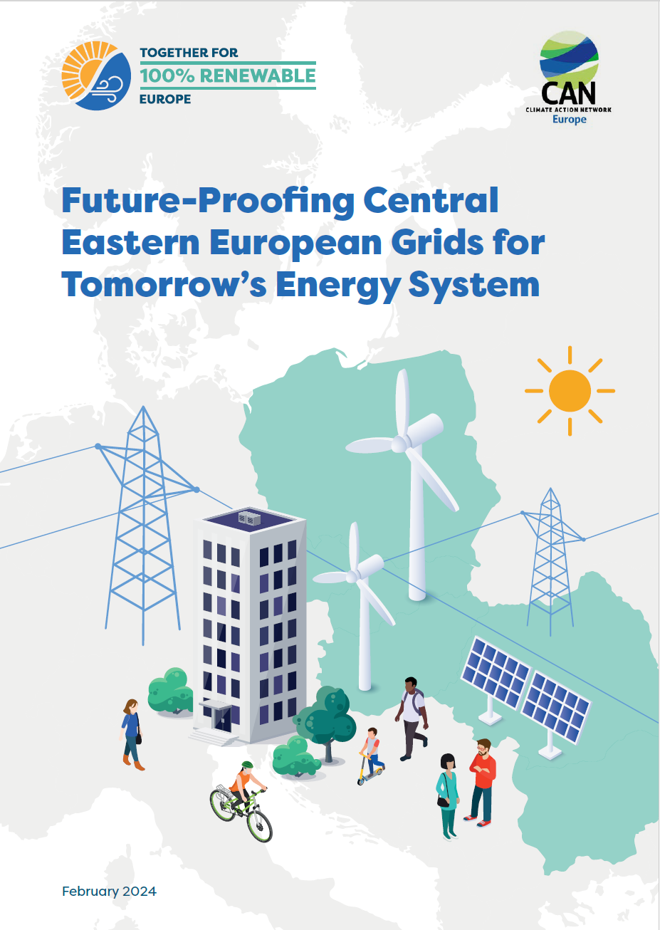 Briefing: Future proofing Central Eastern Europe’s grids