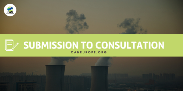 CAN Europe’s input to the European Commission’s “Fitness check evaluating the EU energy security architecture”