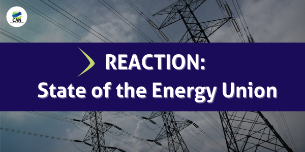 REACTION: State of the Energy Union 2025