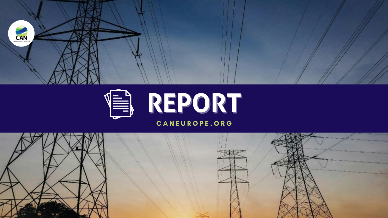 Powering the future: Balancing Grid Investments and Consumer Protection in Europe’s Energy Transition