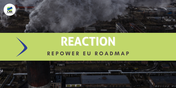 Reaction to the REPowerEU Roadmap