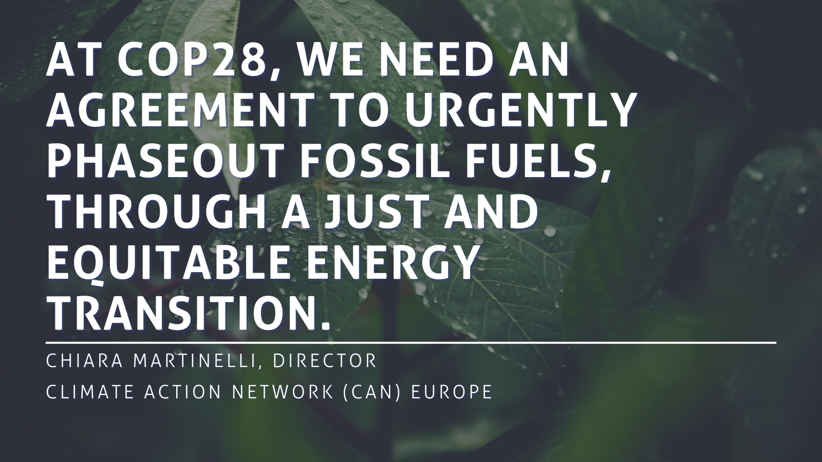 Letter to European Commissioner for Climate: Recommendations for the EU at COP28