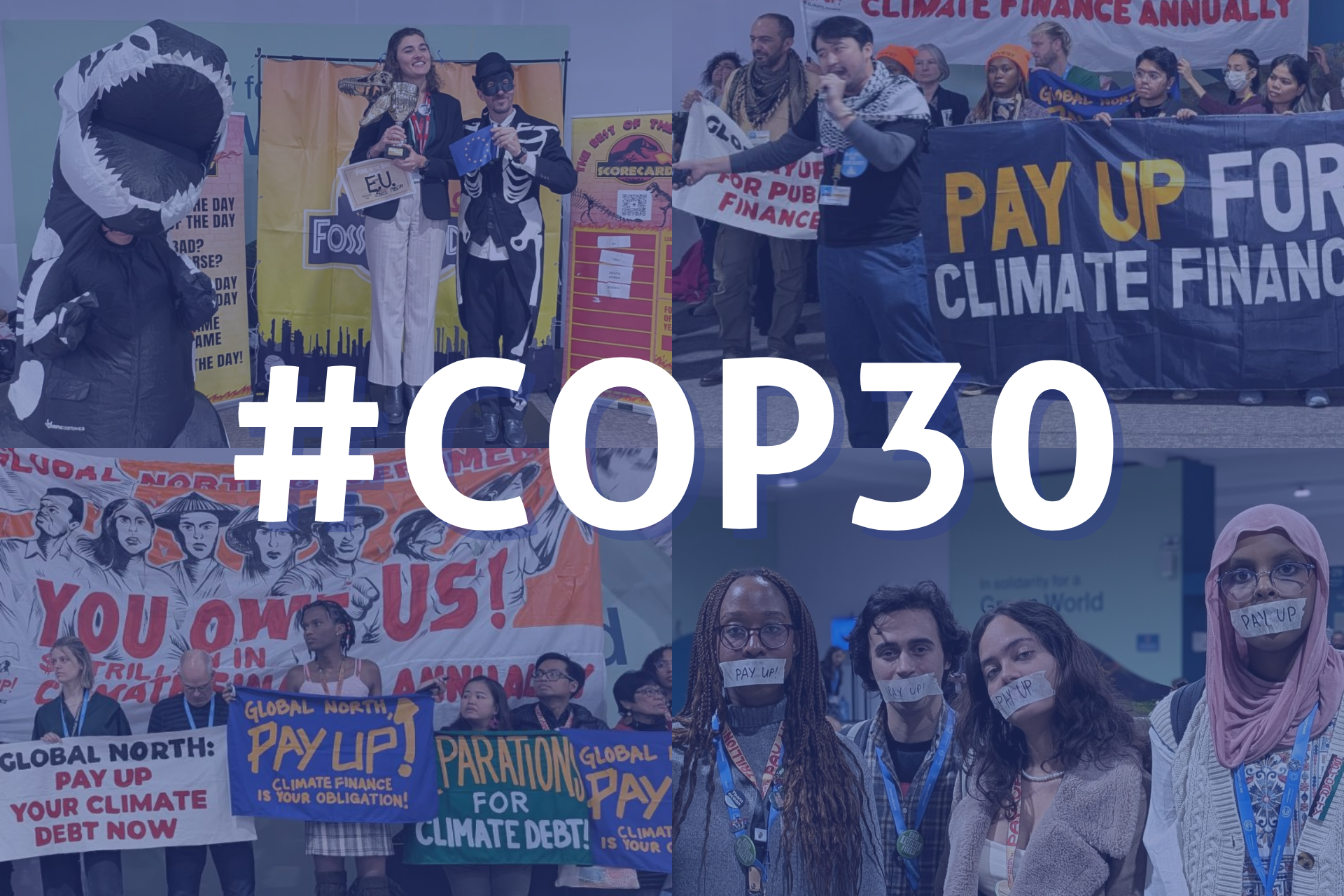CAN Europe COP30 Demands for the EU