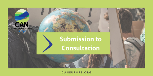 Submission to consultation: EU strategy to boost global climate and energy transition