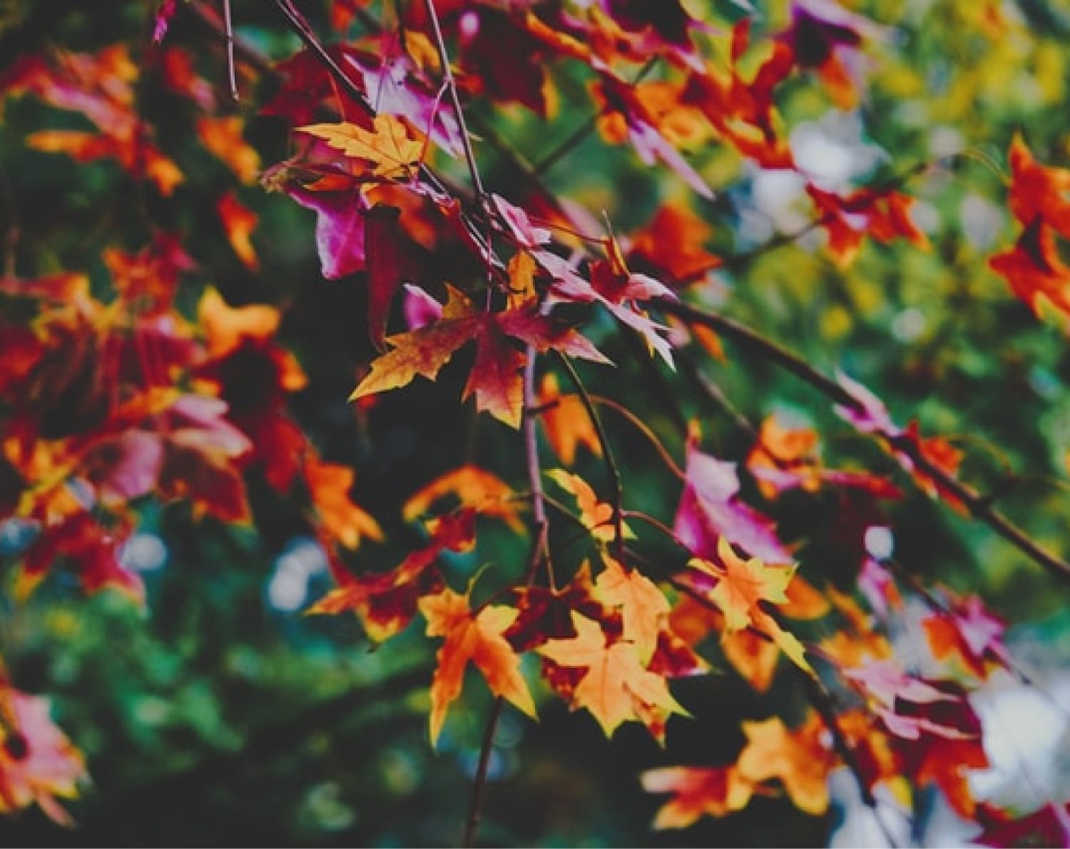 The Western Balkans must match the EU’s new 2030 GHG emissions reduction target of at least 55%