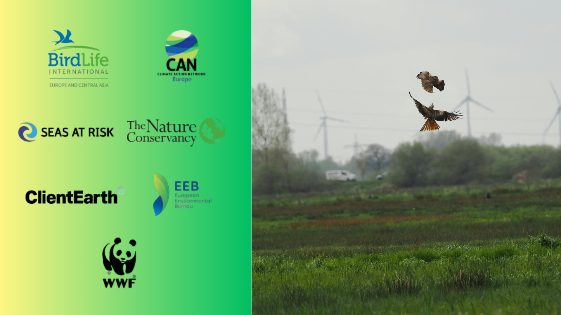 Letter: Putting nature at the heart of the EU’s energy transition