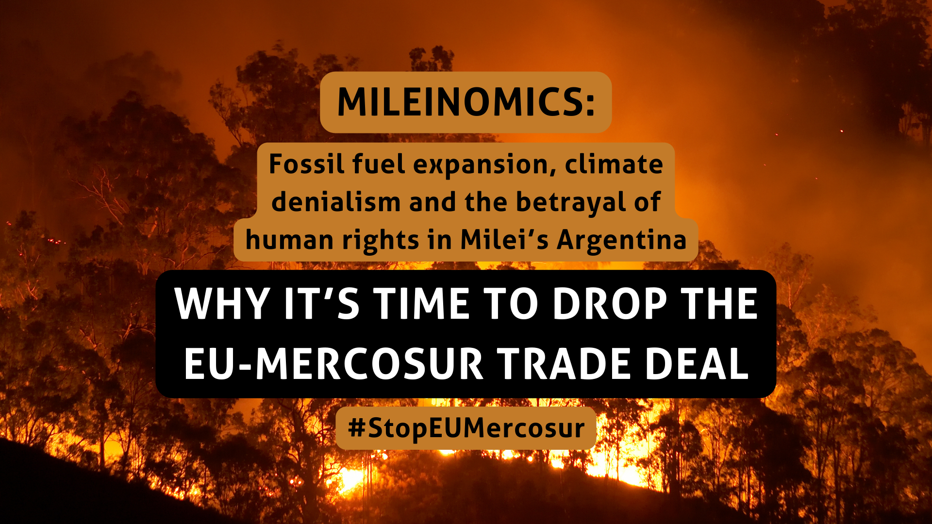 Climate Hypocrisy ahead of G20: New report exposes the dangers of Milei’s climate-wrecking economic reforms and why the EU-Mercosur trade deal should finally be dropped