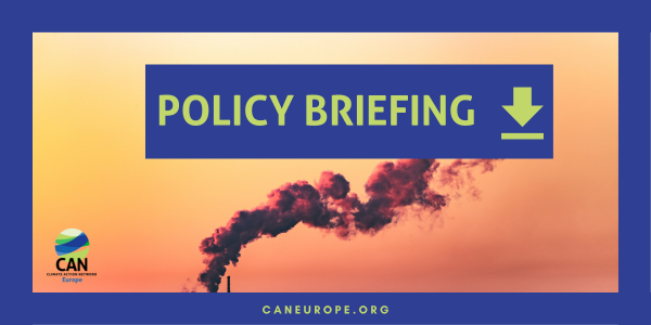 MIND THE GAP! Assessing Climate Action under the ‘Fit For 55’ Package