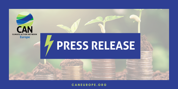 PRESS RELEASE: Climate Finance Study Reveals Increased EU Action Required Ahead of COP29