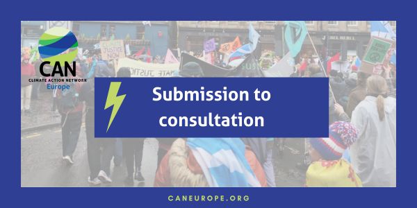 CAN Europe’s submission to TYNDP 2026 scenarios consultations