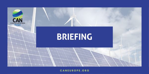 Policy briefing: Happy Coexistence – Embedding nature in the renewable energy shift