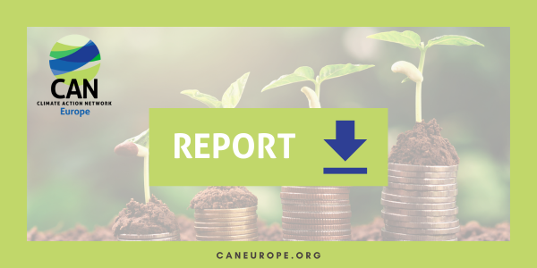 Report: Assessing International Climate Finance by the EU and Member States: Key Insights for Shaping the New Climate Finance Goal