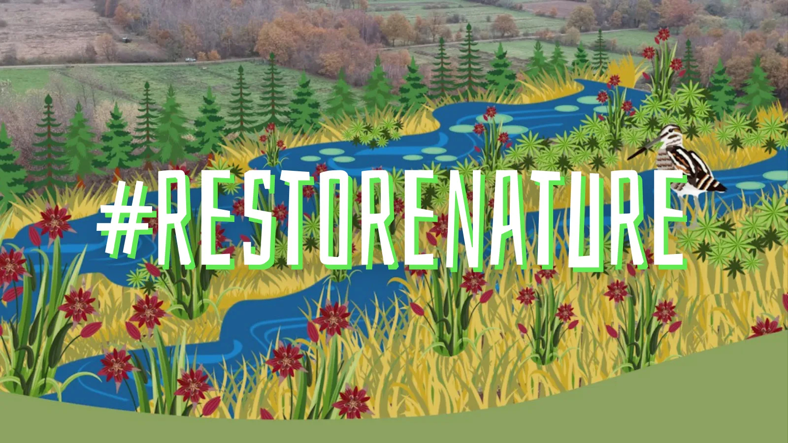 Nature Restoration Law: Essential Progress in Biodiversity and Climate Action – Implementation will be key