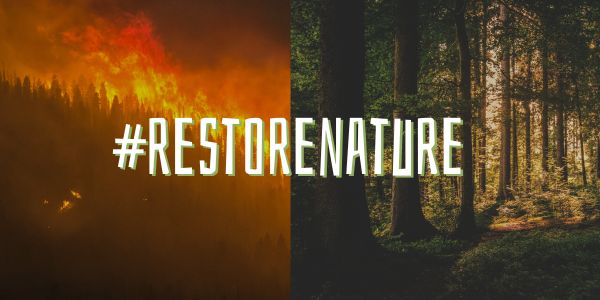 Breaking the Gridlock: Overcoming Political Challenges to Restore Nature