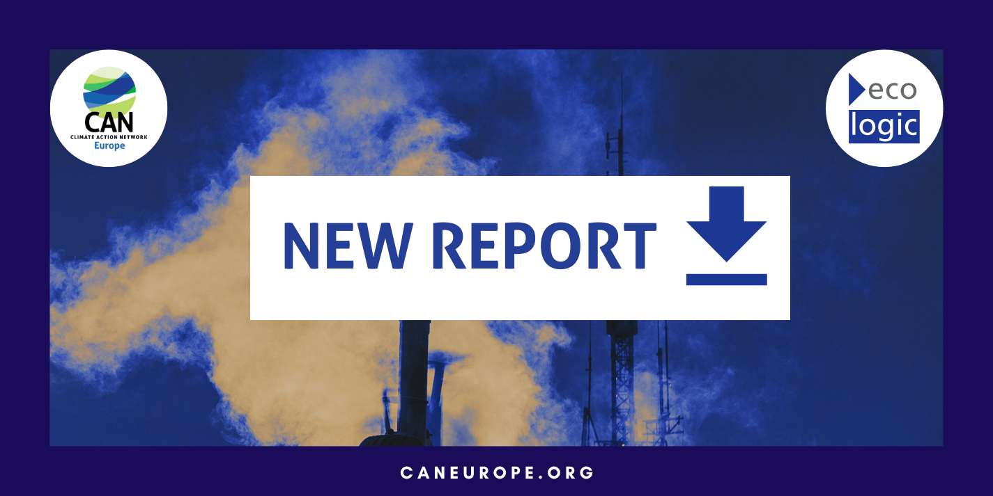New Report: Penalty regimes for violations of the EU Methane Regulation in selected EU Member States