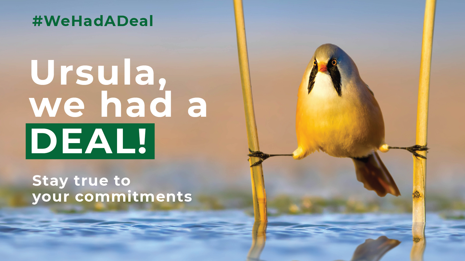 180+ organisations call the EU Commission to provide guarantees on climate, nature and public health, ensuring the protection of people