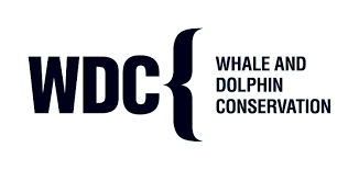 Whale and Dolphin conservation